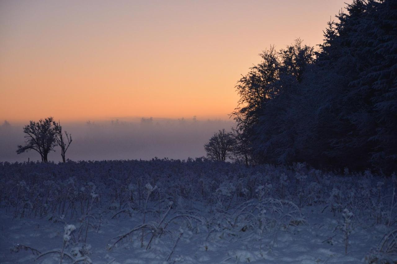 Gunneruphus Bed & Breakfast Herning Zewnętrze zdjęcie